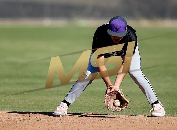 AIA Boys Varsity Baseball