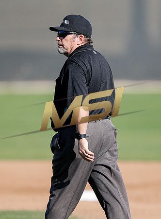 AIA Boys Varsity Baseball
