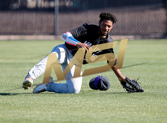 AIA Boys Varsity Baseball