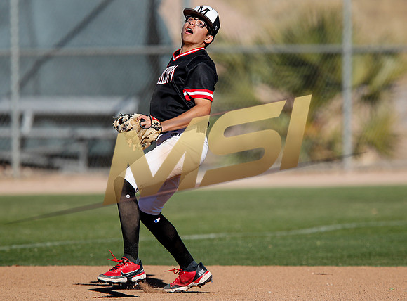 AIA Boys Varsity Baseball
