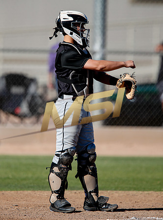 AIA Boys Varsity Baseball