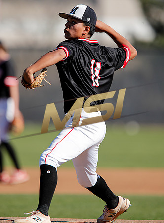 AIA Boys Varsity Baseball
