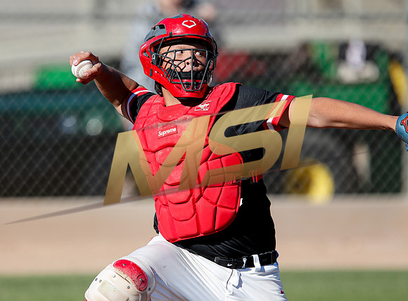 AIA Boys Varsity Baseball