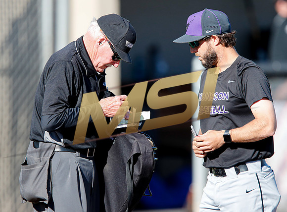 AIA Boys Varsity Baseball