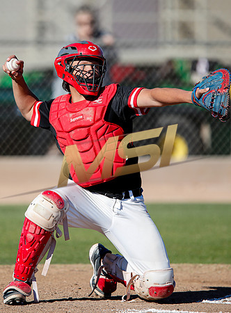 AIA Boys Varsity Baseball