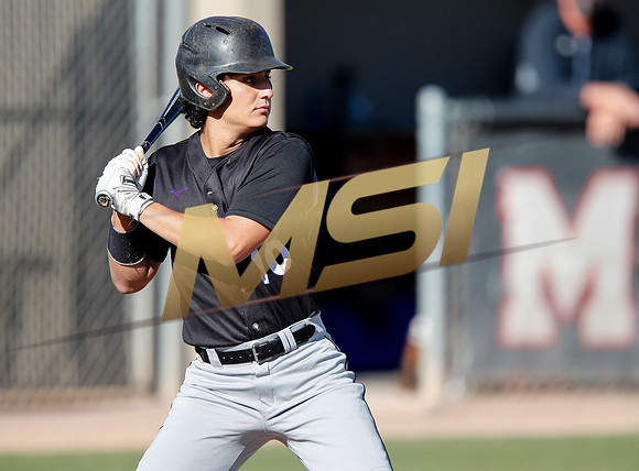 AIA Boys Varsity Baseball