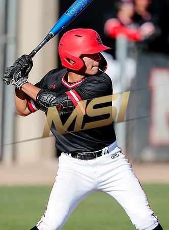 AIA Boys Varsity Baseball