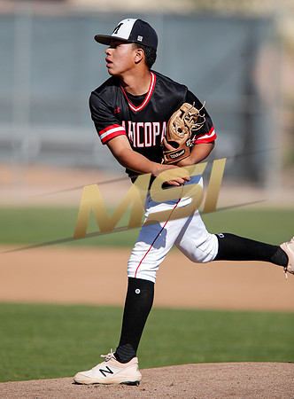 AIA Boys Varsity Baseball