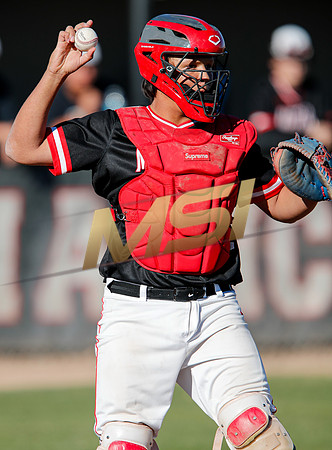 AIA Boys Varsity Baseball