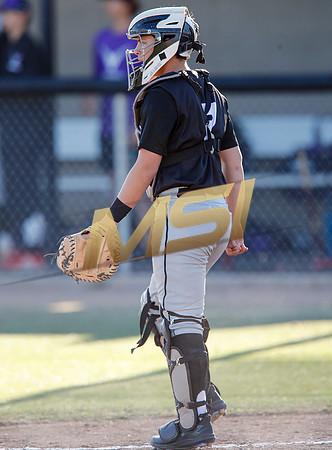AIA Boys Varsity Baseball