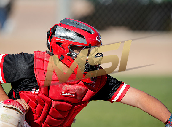 AIA Boys Varsity Baseball