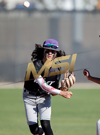 AIA Boys Varsity Baseball