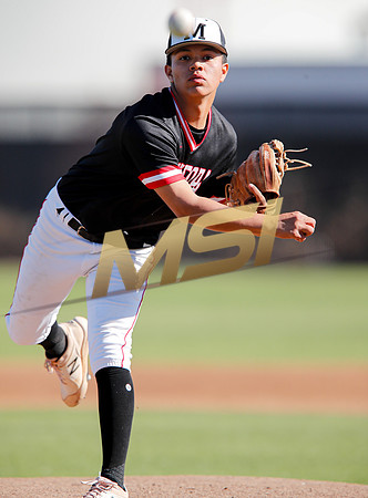 AIA Boys Varsity Baseball