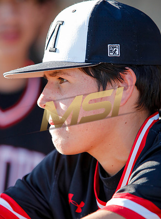 AIA Boys Varsity Baseball
