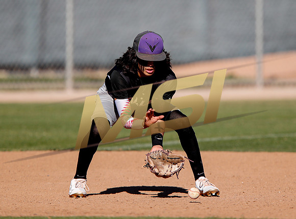 AIA Boys Varsity Baseball