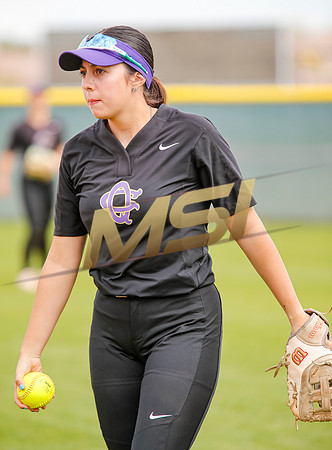 AIA Softball Queen Creek vs Arizona College Prep