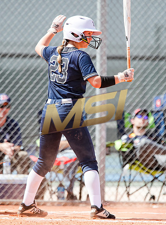 AIA Softball Mica Mountain vs Pinnacle