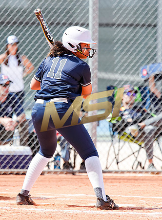 AIA Softball Mica Mountain vs Pinnacle