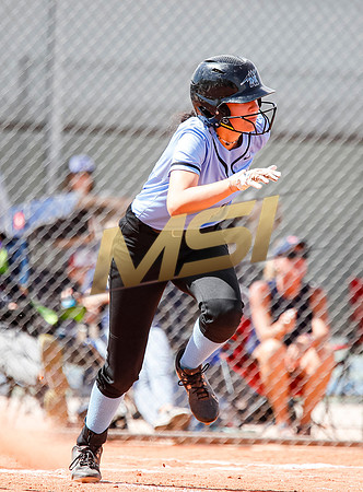 AIA Softball Mica Mountain vs Pinnacle