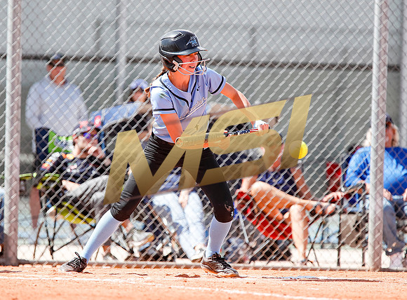AIA Softball Mica Mountain vs Pinnacle