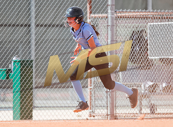 AIA Softball Mica Mountain vs Pinnacle