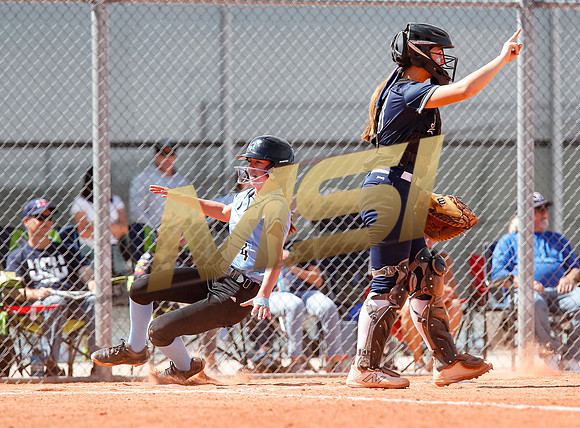 AIA Softball Mica Mountain vs Pinnacle