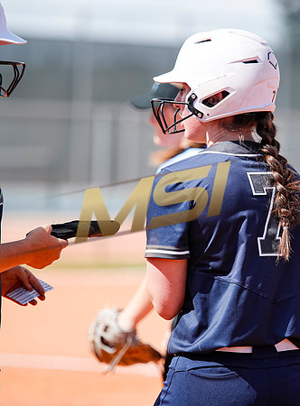 AIA Softball Mica Mountain vs Pinnacle