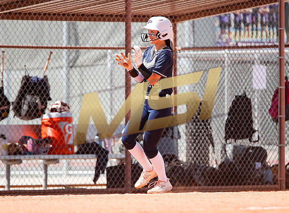 AIA Softball Mica Mountain vs Pinnacle
