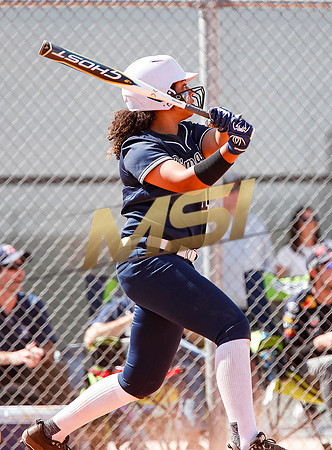 AIA Softball Mica Mountain vs Pinnacle