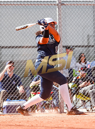 AIA Softball Mica Mountain vs Pinnacle