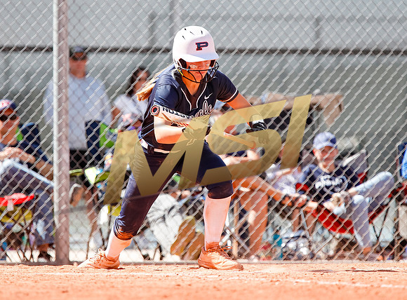 AIA Softball Mica Mountain vs Pinnacle