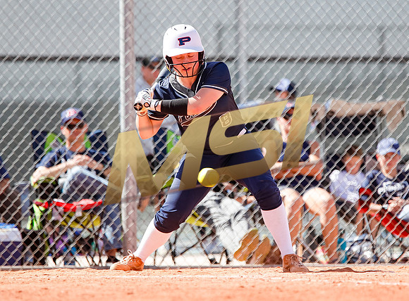 AIA Softball Mica Mountain vs Pinnacle