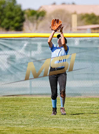 AIA Softball Mica Mountain vs Pinnacle