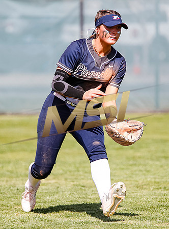 AIA Softball Mica Mountain vs Pinnacle