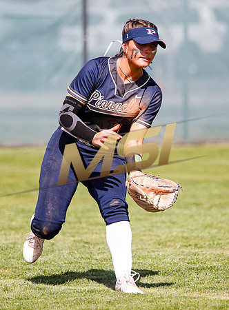 AIA Softball Mica Mountain vs Pinnacle