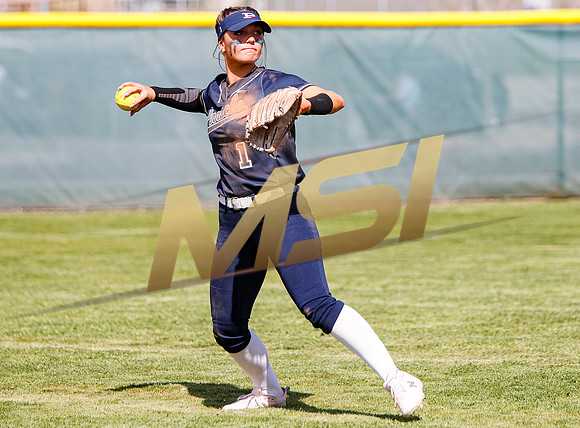 AIA Softball Mica Mountain vs Pinnacle
