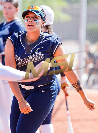 AIA Softball Mica Mountain vs Pinnacle