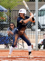 AIA Softball Chandler vs Pinnacle