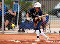 AIA Softball Chandler vs Pinnacle