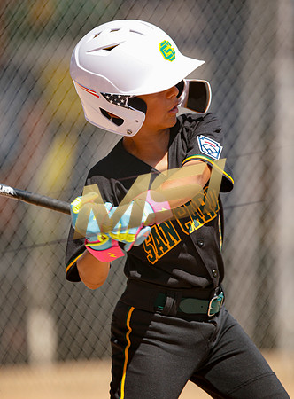 Little League All-Star Baseball All-Star Championship Game