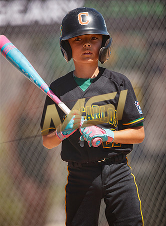 Little League All-Star Baseball All-Star Championship Game