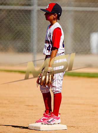 Little League All-Star Baseball All-Star Championship Game
