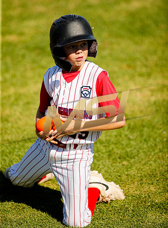 Little League All-Star Baseball All-Star Championship Game