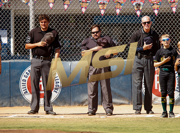 Little League All-Star Baseball All-Star Championship Game