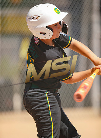 Little League All-Star Baseball All-Star Championship Game