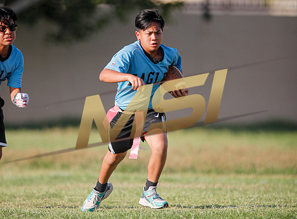 St. Mary Basha losses to  Our Lady of Mount Carmel