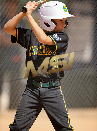 Little League All-Star Baseball All-Star Championship Game