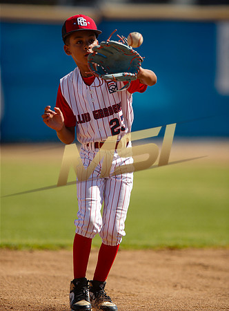 Little League All-Star Baseball All-Star Championship Game