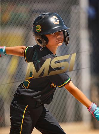Little League All-Star Baseball All-Star Championship Game