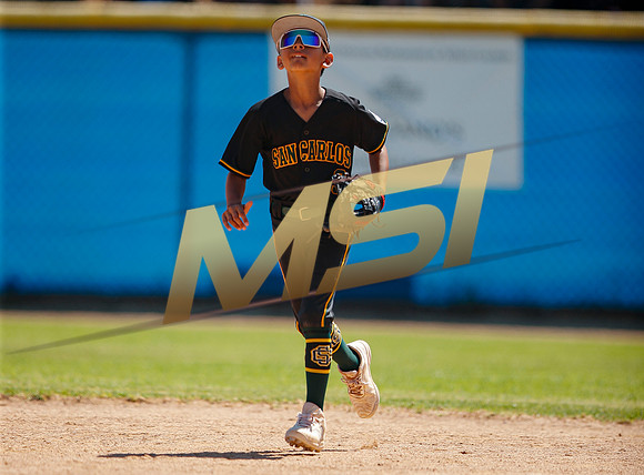 Little League All-Star Baseball All-Star Championship Game